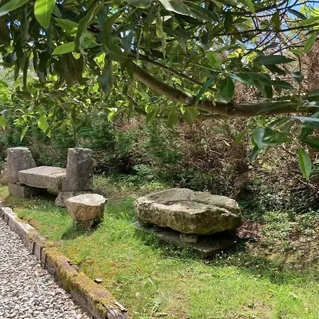 La De Vicente Con Piscina